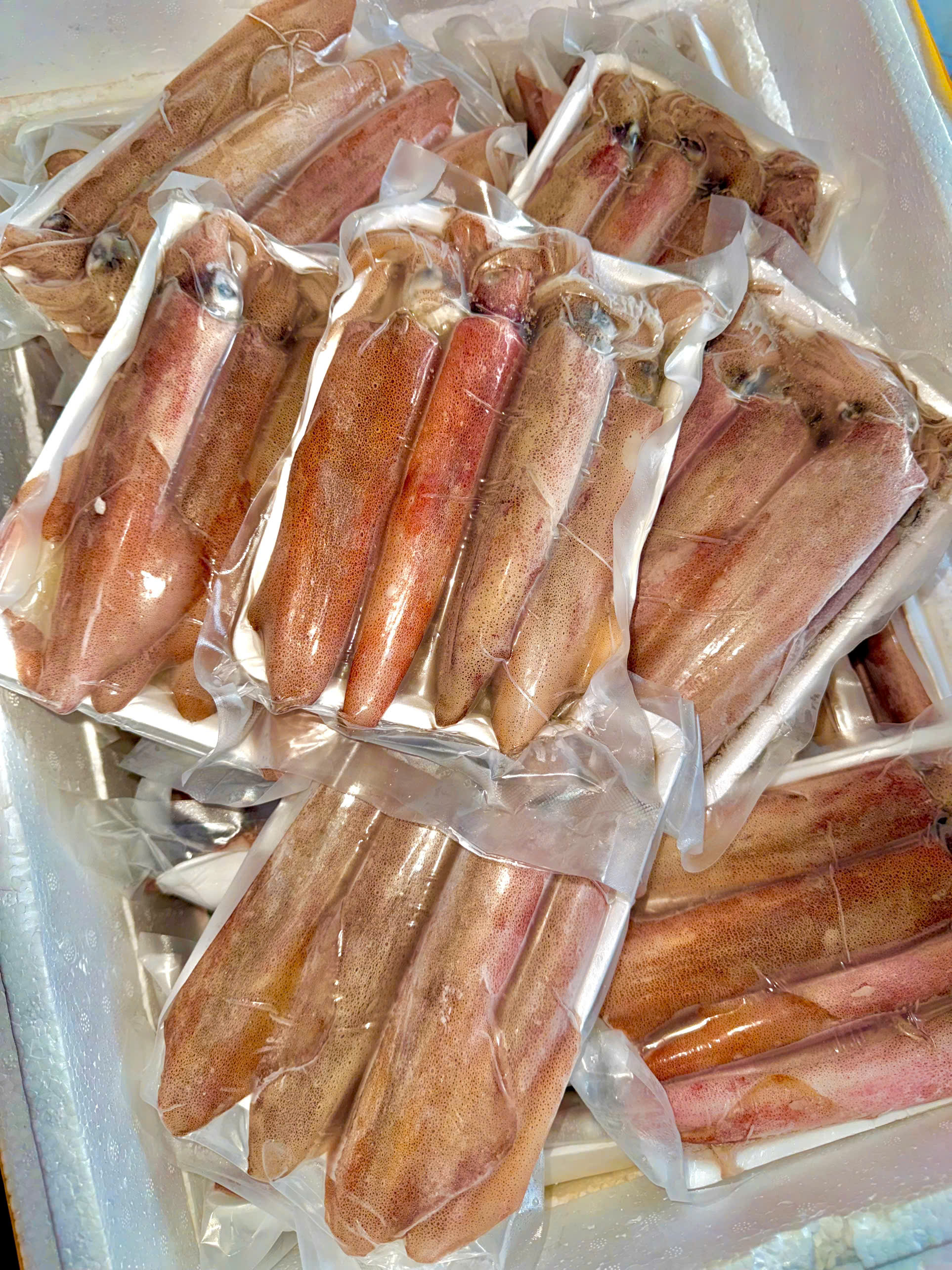 Mực Ống Nháy Sz 8 Con