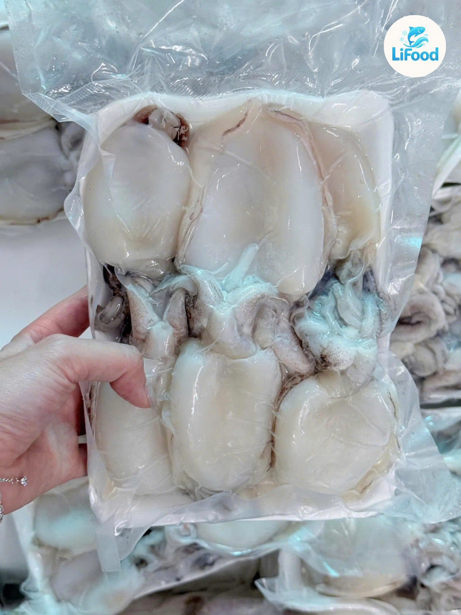 Mực Nang Nút 20/40