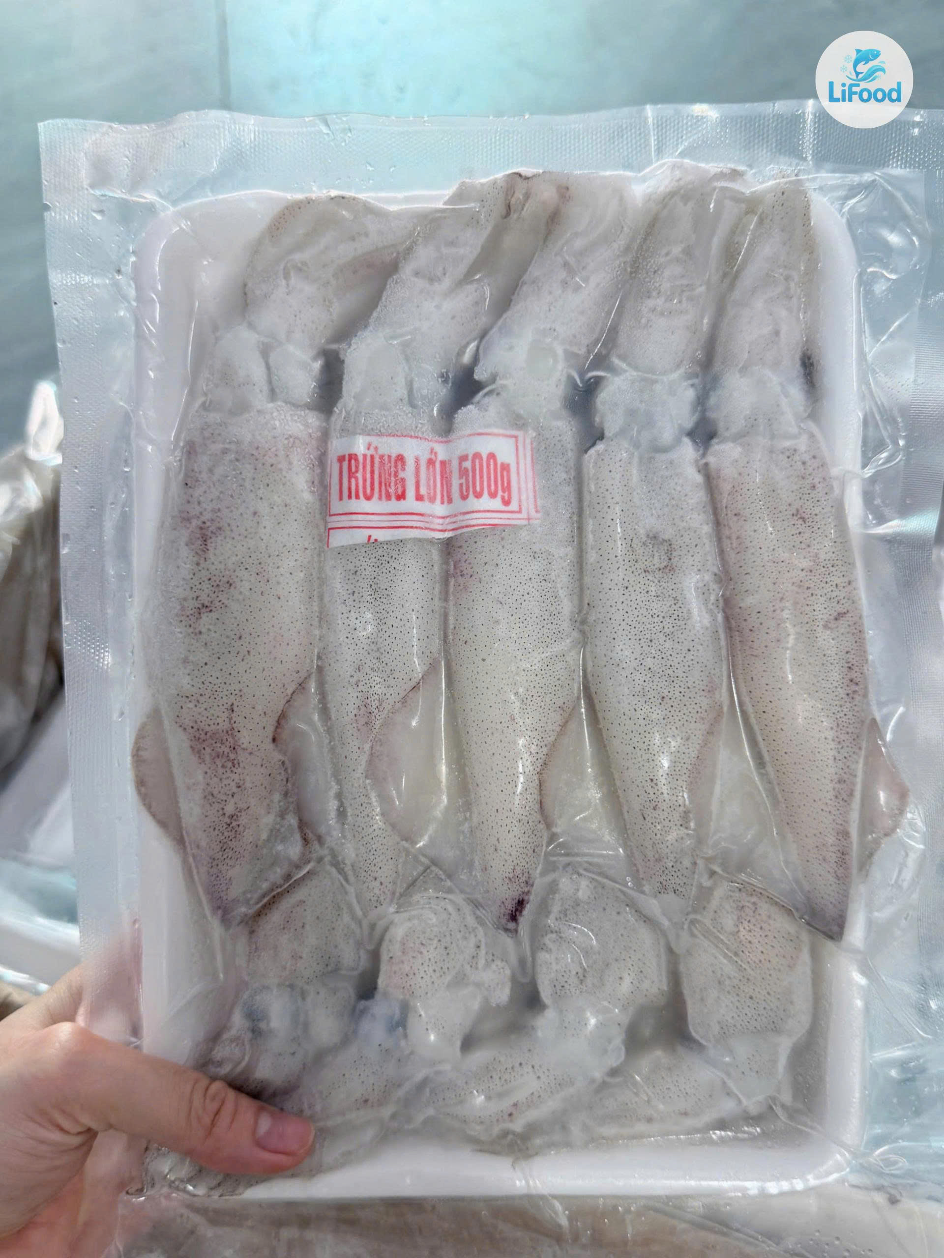 Mực Trứng Lớn Loại 1 size 16-20 con