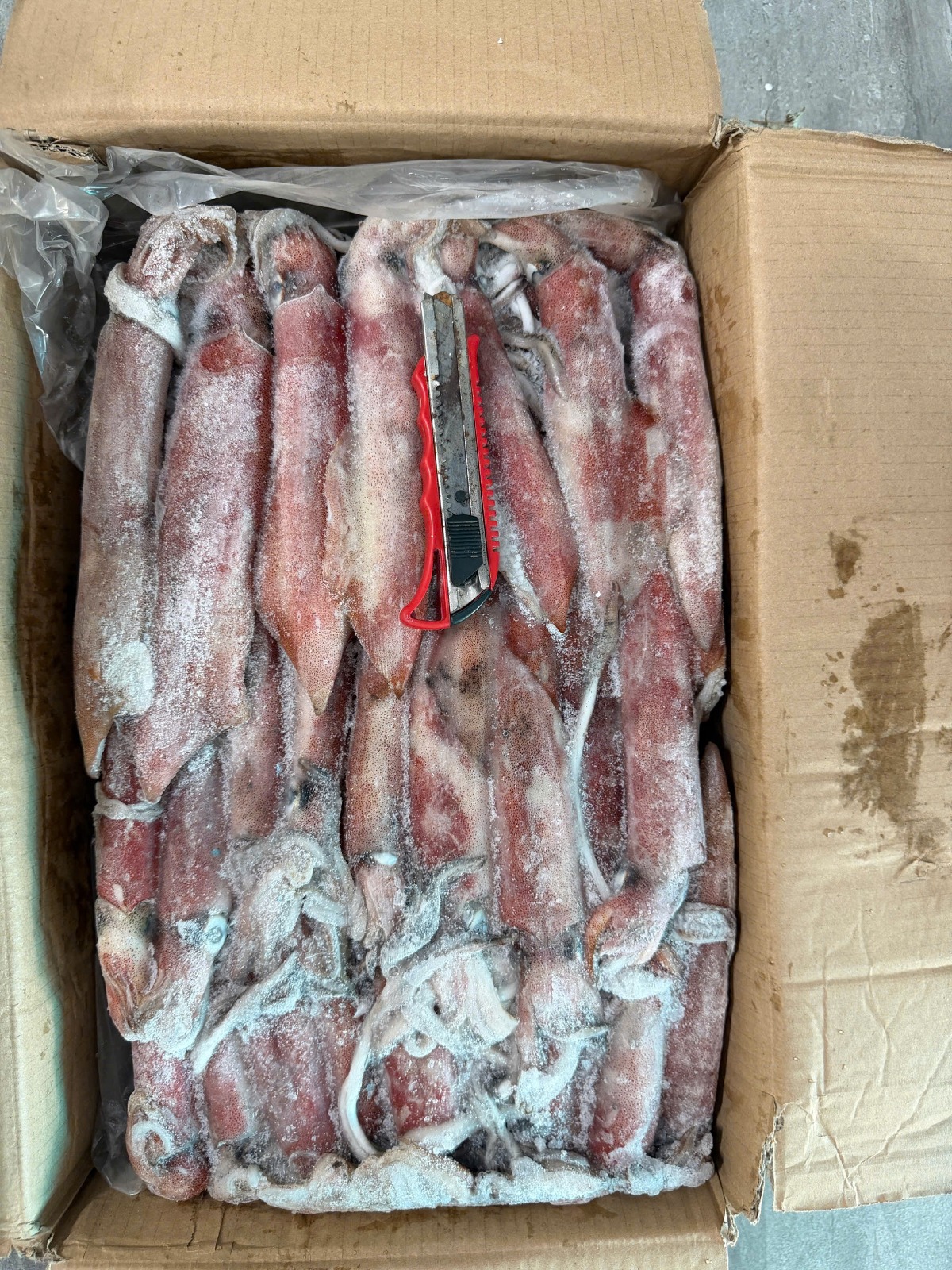 Mực Ống Indo Số 4 LiFood