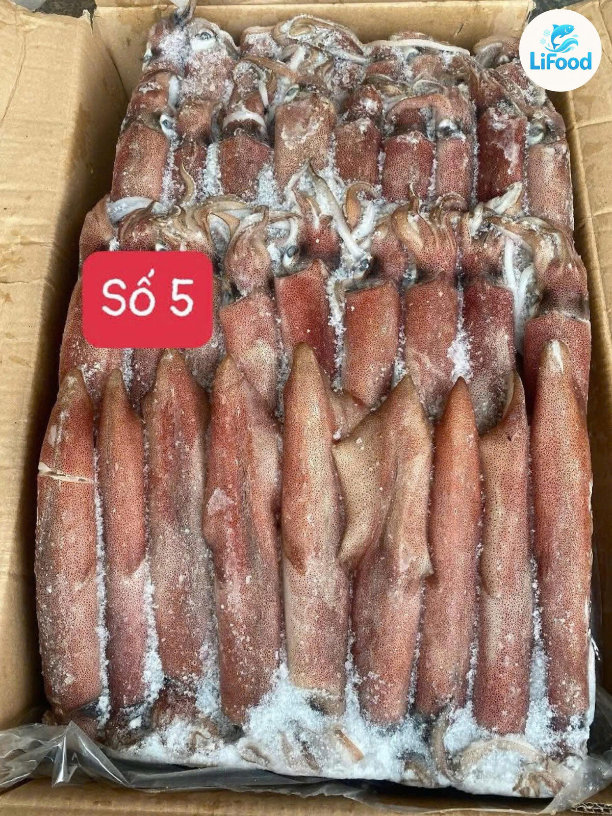 Mực Ống Indo Số 5 LiFood