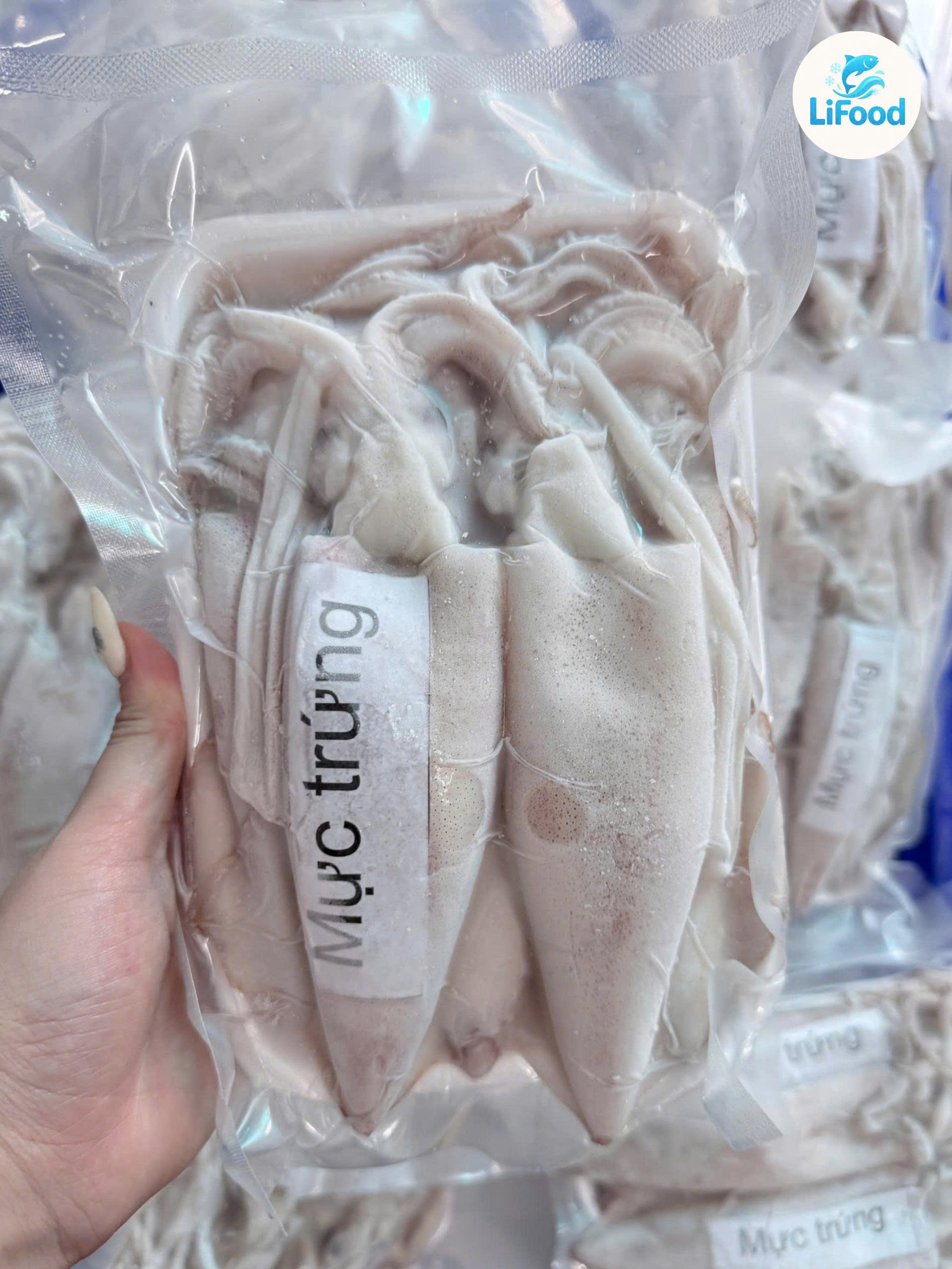 Mực Trứng Dẻo size 8/12 con