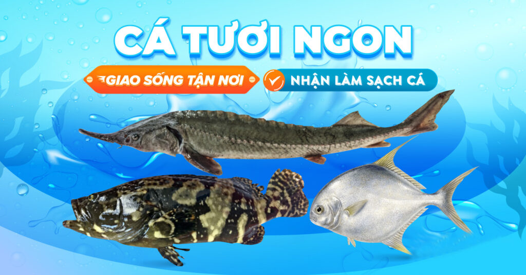 Lẩu hải sản thập cẩm – ấm bụng ngày mưa